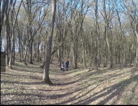 Screenshot_20230516_215927_Facebook