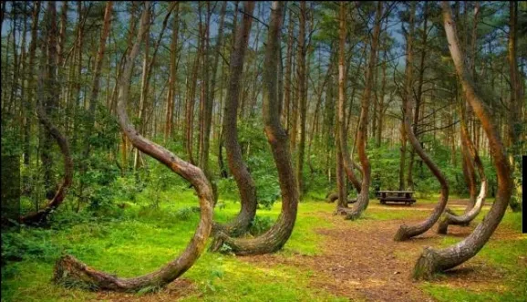 Screenshot_20230516_215636_Facebook