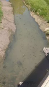 WhatsApp-Image-2022-01-11-at-14.52.52-2-169x300