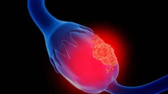 WhatsApp Image 2023-05-08 at 20.54.42