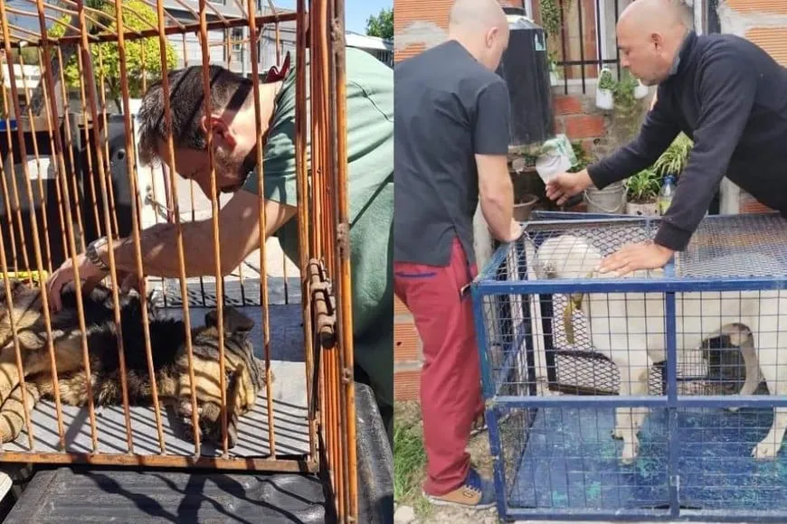 Rescate de animales policia