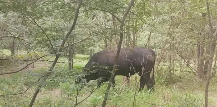 WhatsApp Image 2023-04-23 at 20.15.04 (1)