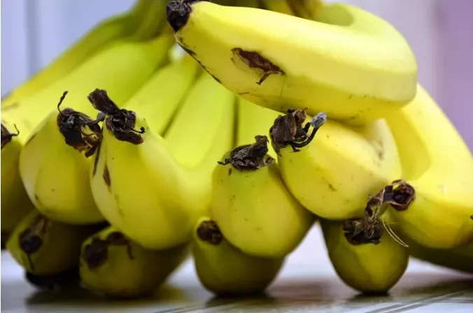 Screenshot_20230421_084233_Facebook