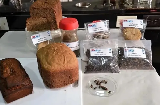 Screenshot_20231018_223905_Facebook