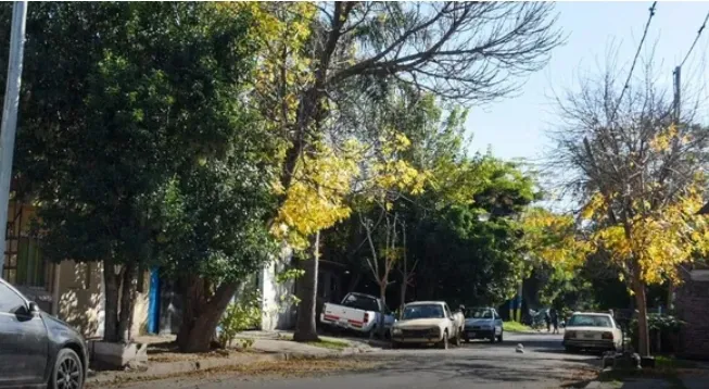 Screenshot_20230514_121233_Facebook