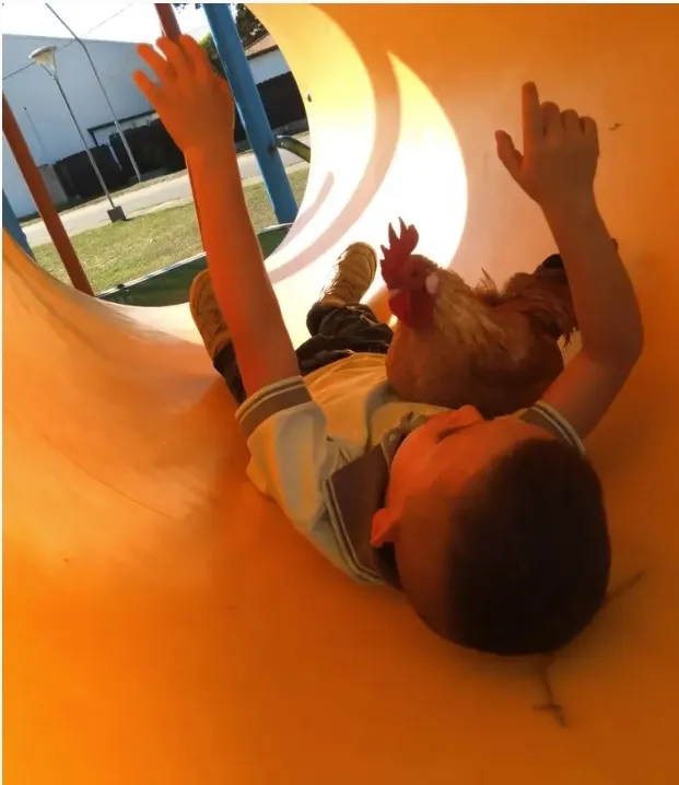 Screenshot_20230511_221344_Facebook