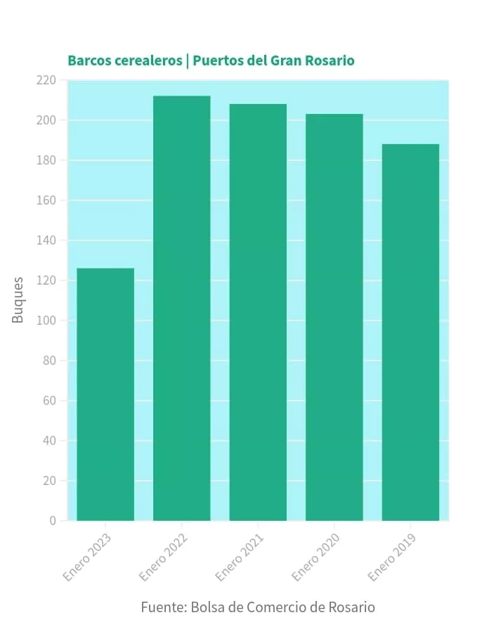 WhatsApp Image 2023-02-25 at 16.01.08