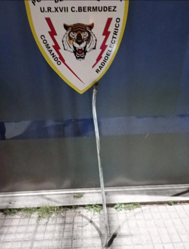 97cf91e0-13e7-40bb-91f1-3e91d0d3b902