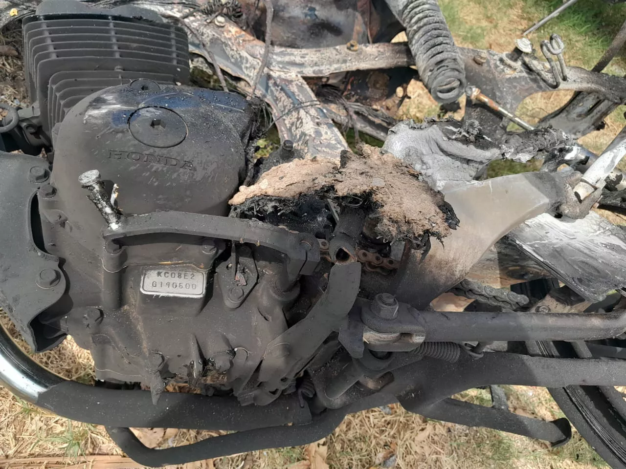 WhatsApp Image 2023-03-14 at 16.22.30