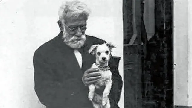 ignacio-lucas-albarracin-dia-animal-argentinajpg