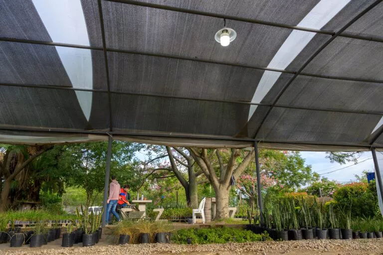 vivero4-768x512