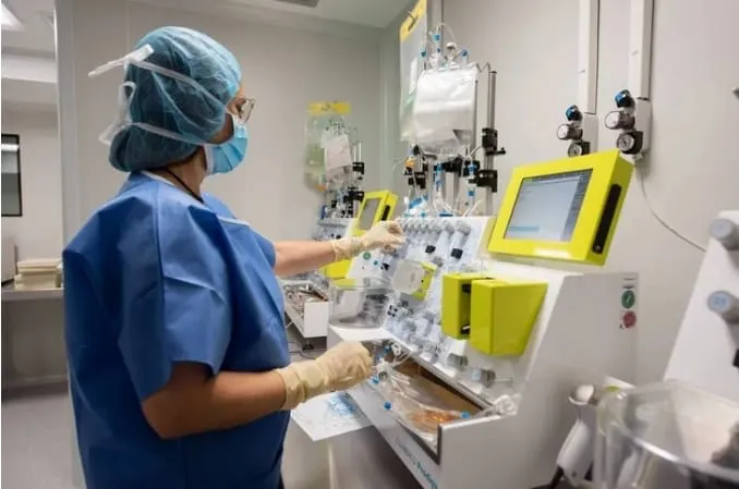 WhatsApp Image 2023-05-08 at 20.54.43