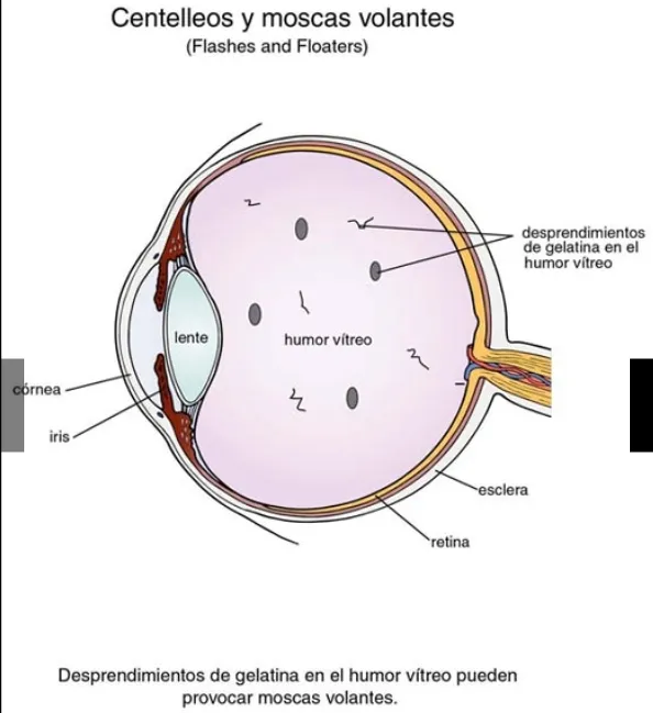 Screenshot_20230520_104636_Facebook