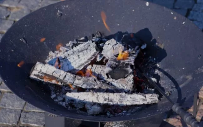 WhatsApp Image 2023-04-20 at 22.27.31