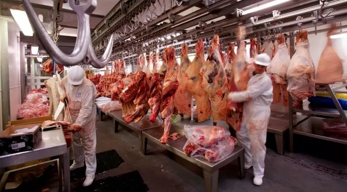 carne matarife