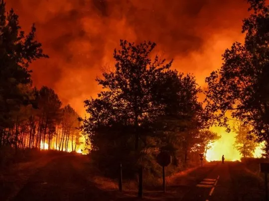 incendio-forestaljpg