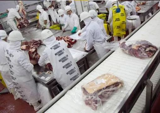 carne exportación