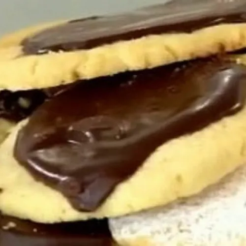 sabor-magnifico-polvorones-de-vainilla-1.1452