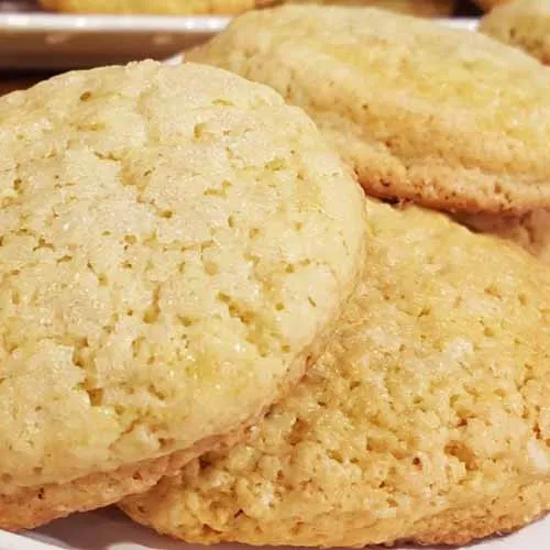 scons-de-vainilla-faciles-y-rapidos.5569