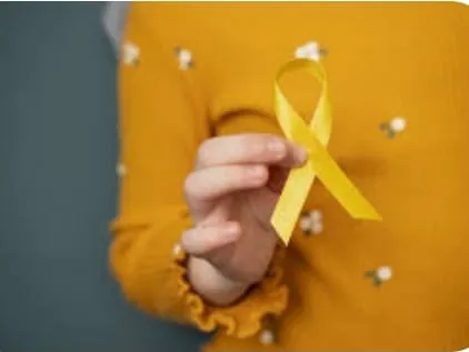 WhatsApp Image 2025-02-14 at 12.15.11