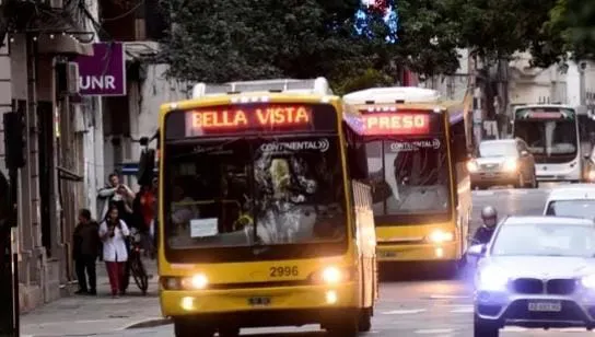 colectivos