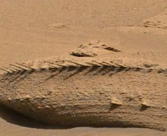 Screenshot_20230525_182422_Facebook