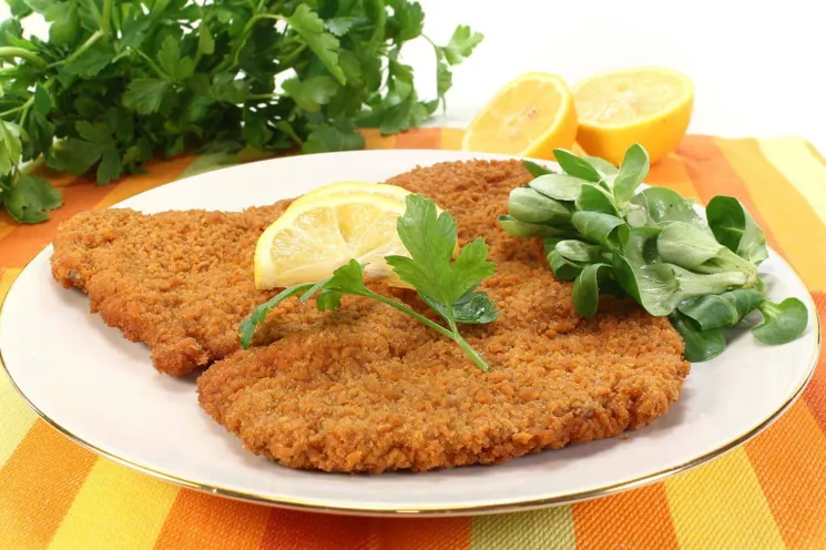 milanesas-tortuguita.png_140025018