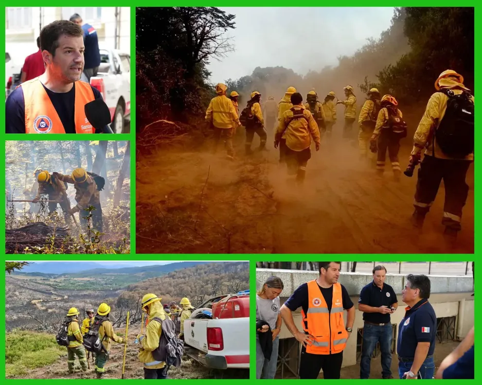 WhatsApp Image 2026-02-13 at 00.26.01