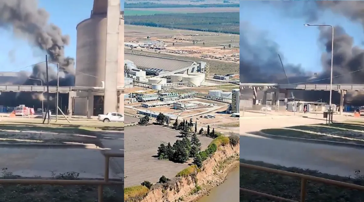 incendio-renova-timbues
