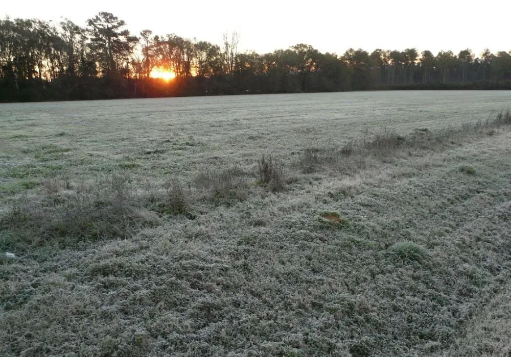 tiempo-de-heladas-8651-1_1280