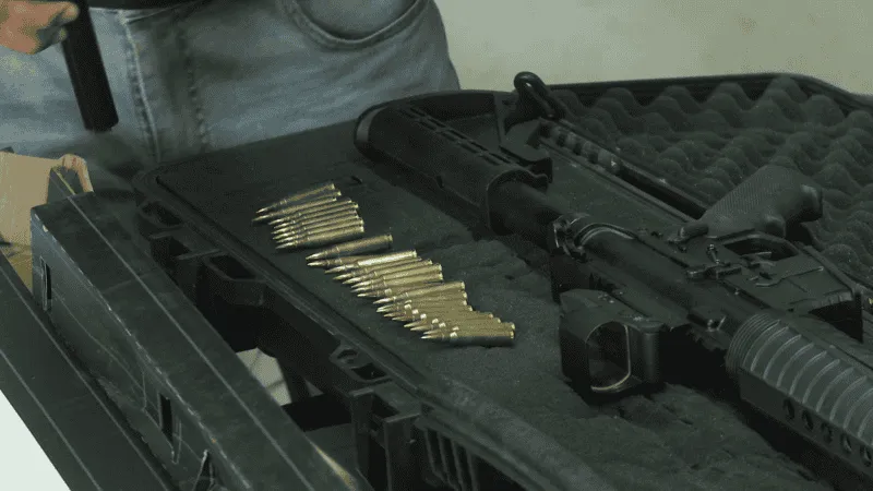 armas-nuevo-albedi_x4x.png_1756841869