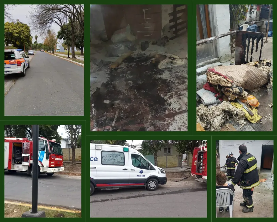 21ea3a69-f528-48ed-8e90-61f5acba34f6