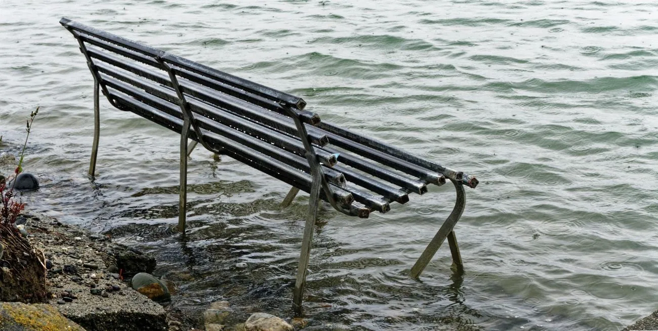 fIYiTvIFl_1300x655__1