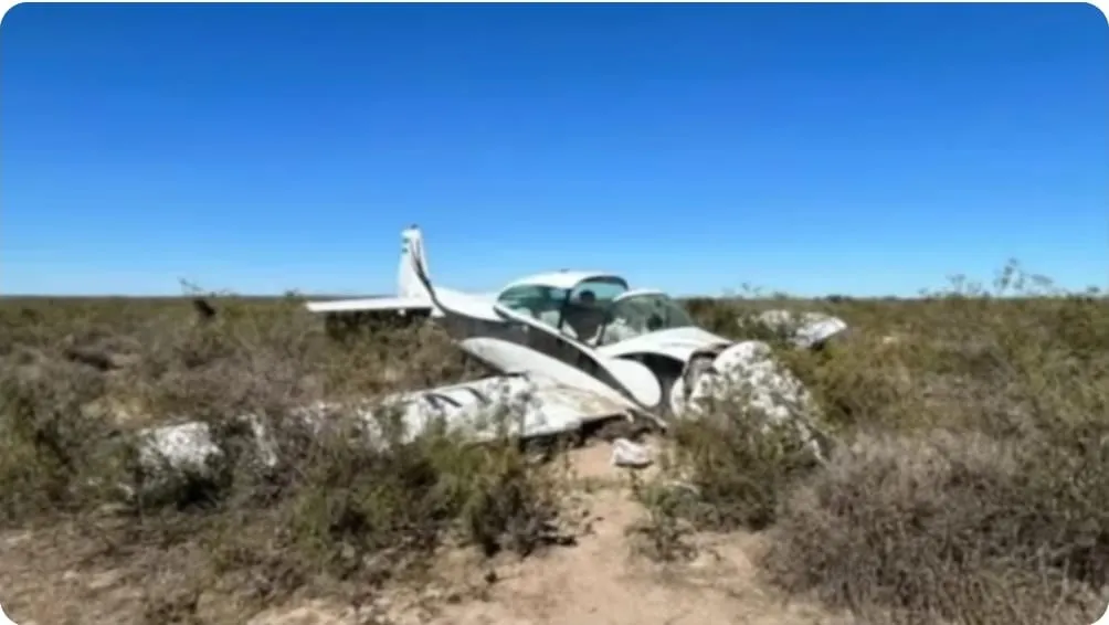 WhatsApp Image 2026-01-05 at 11.15.34