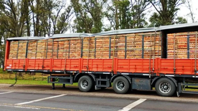 camionero-secuestrado