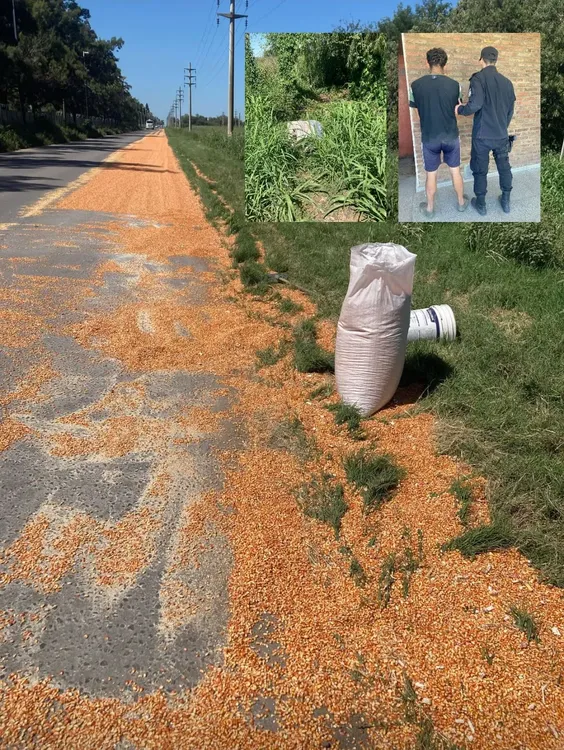 WhatsApp Image 2025-03-20 at 14.33.07