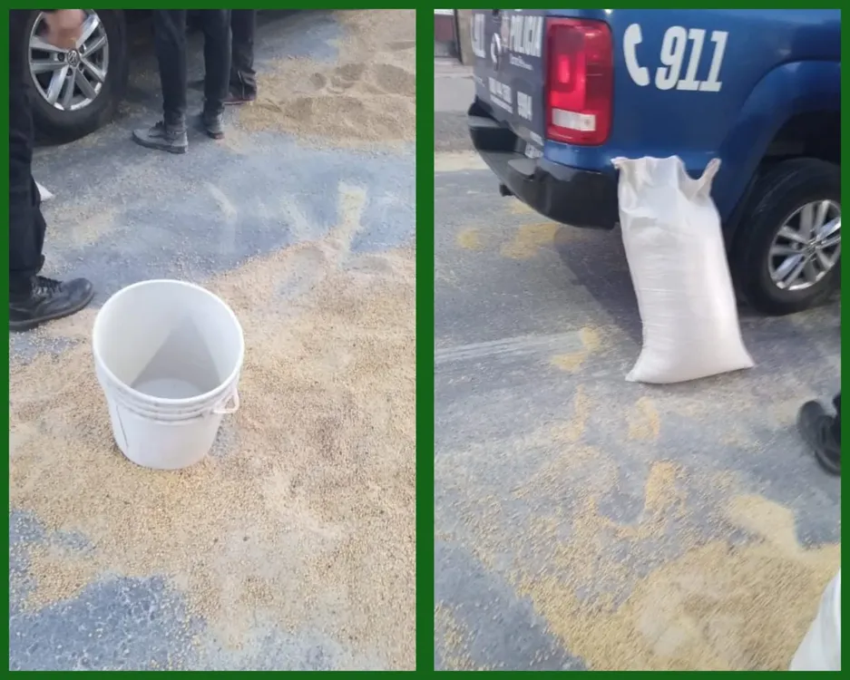 98d11571-48d3-4ec0-b3ef-05deea3de599