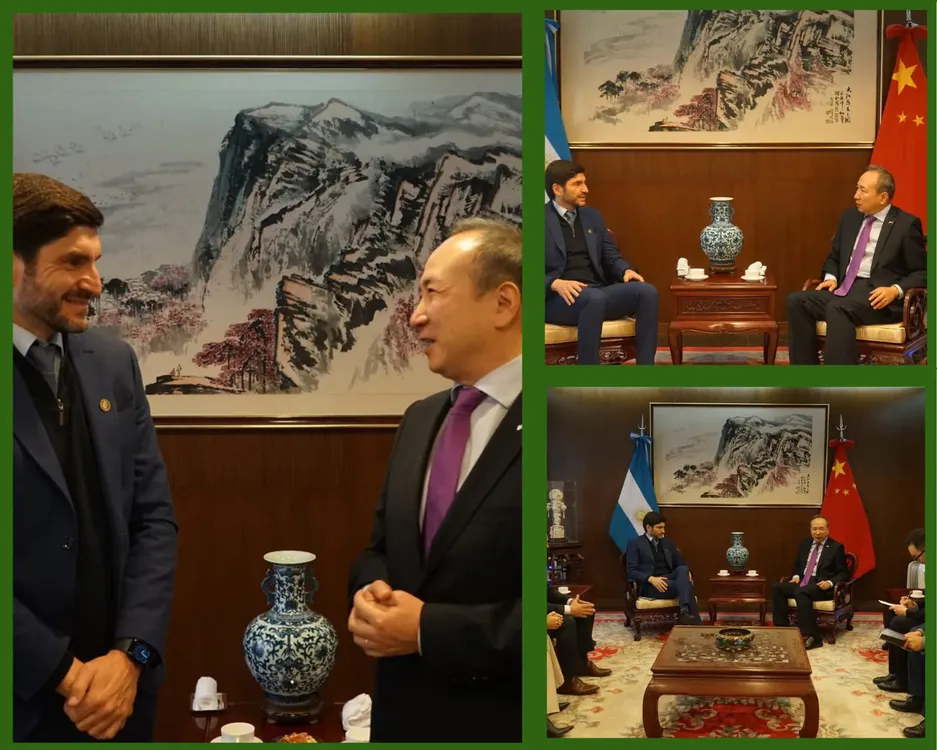 WhatsApp Image 2024-07-31 at 22.31.59