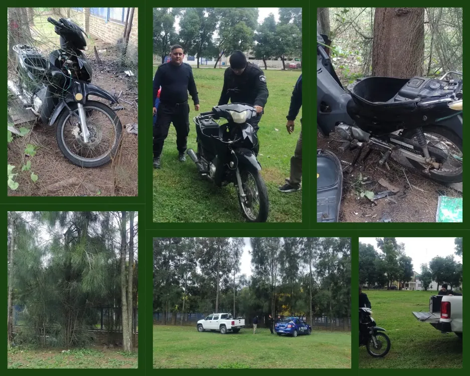 WhatsApp Image 2024-05-14 at 00.12.23