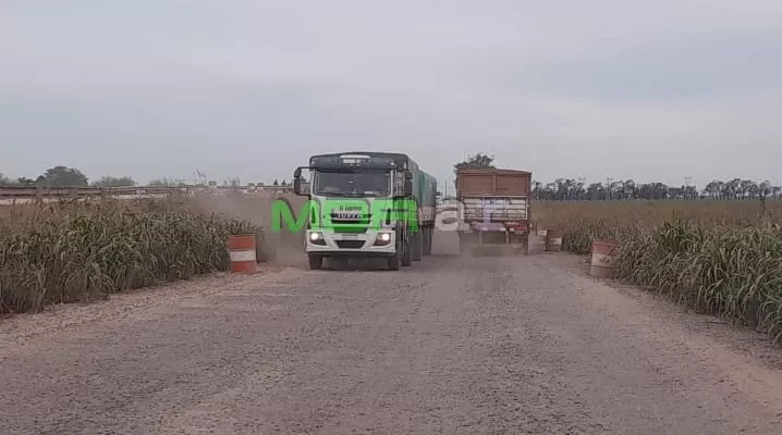 WhatsApp Image 2023-04-22 at 17.55.17