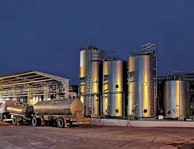 Proyecto-nuevo-2024-05-29T125840.591-768x590