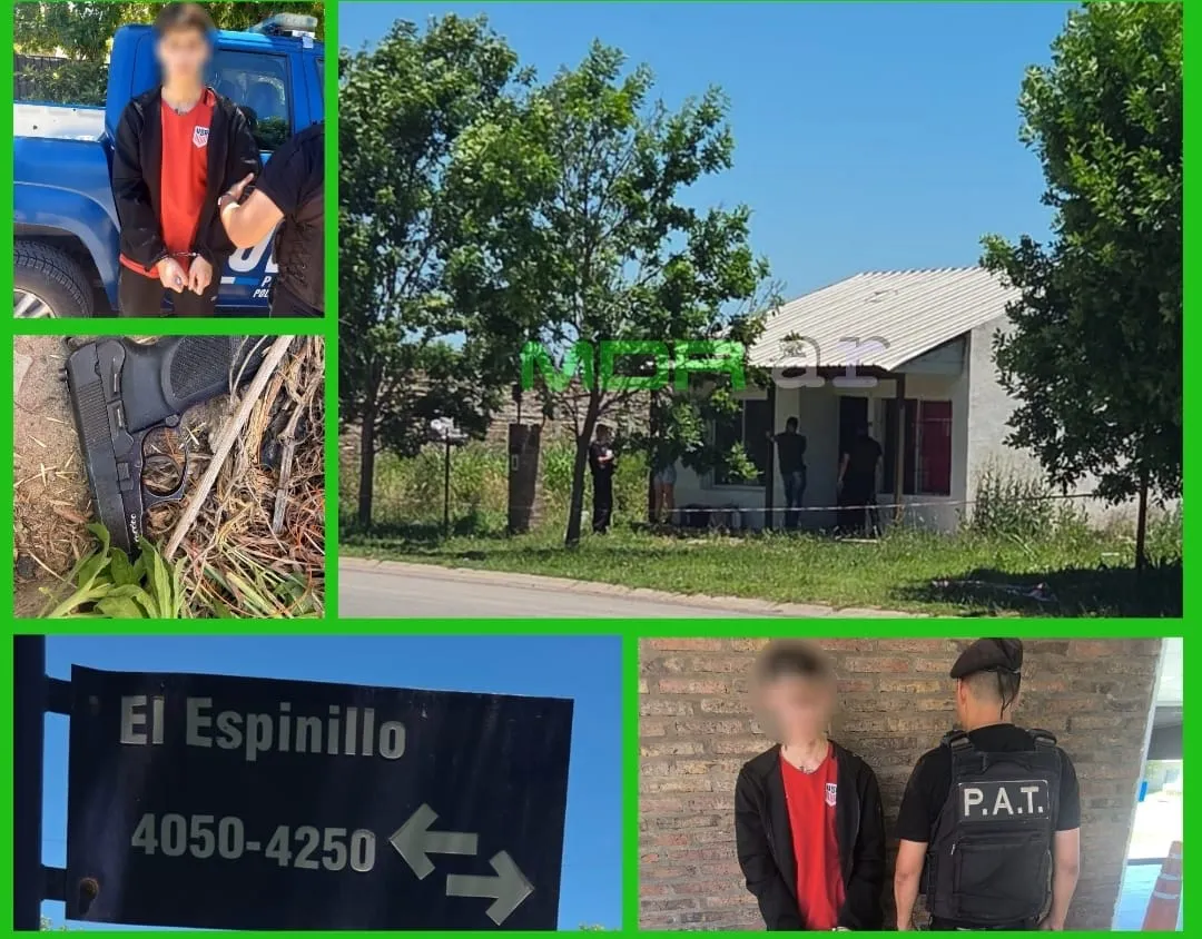 WhatsApp Image 2025-11-14 at 17.40.58