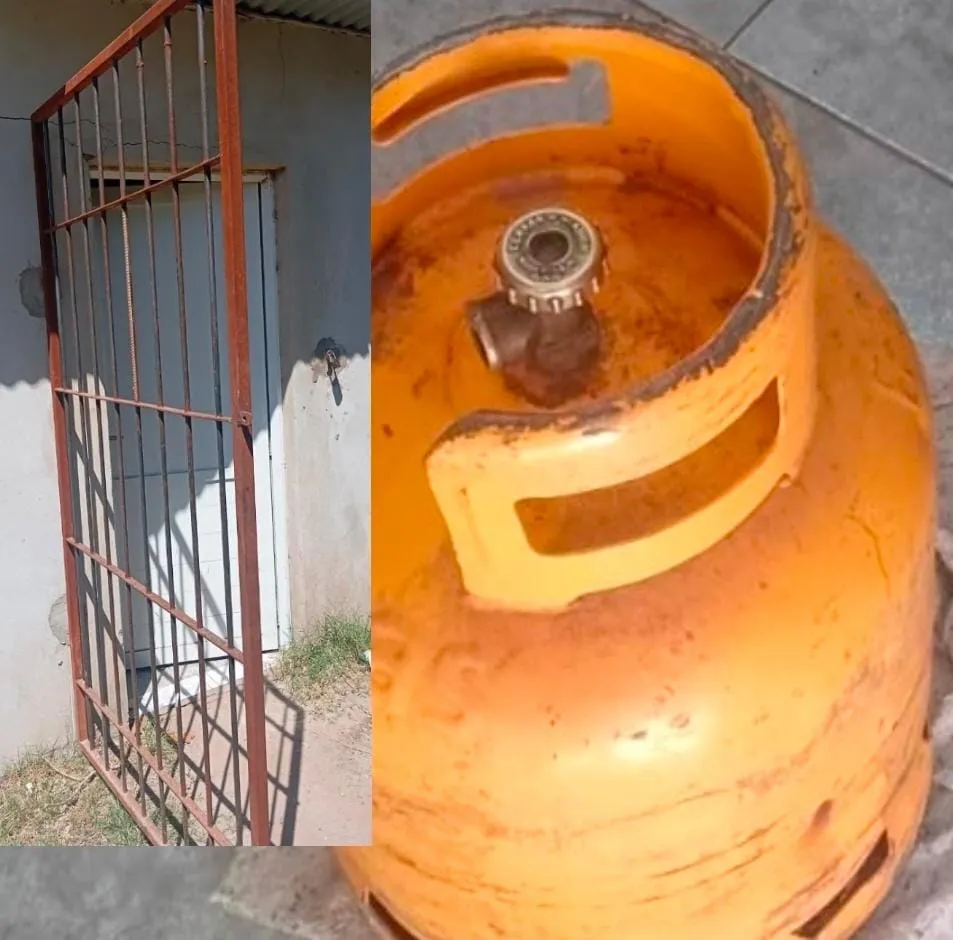 WhatsApp Image 2026-02-02 at 12.43.56