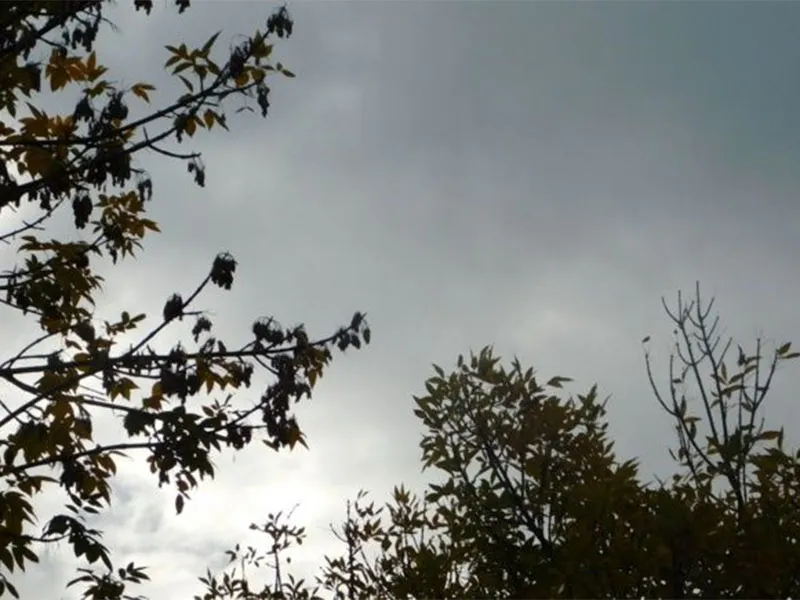 clima-6