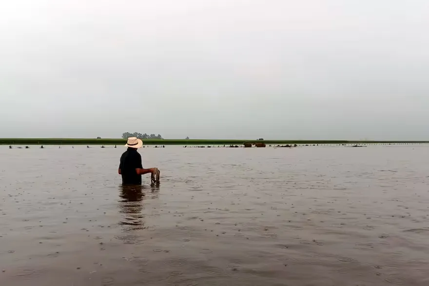 el-productor-ganadero-nelson-rocha-vivimos-una-FPMVIQWFXZAD3ENGZ7TX6H45WI