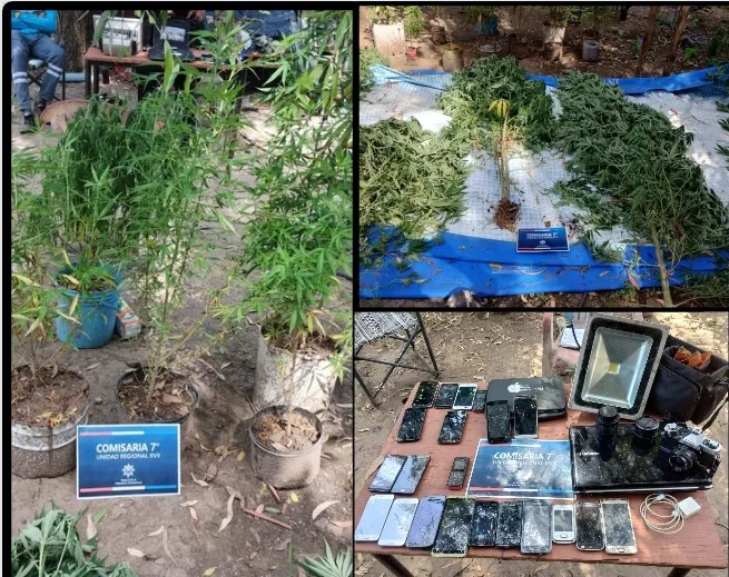 Screenshot_20240112_224225_Canva