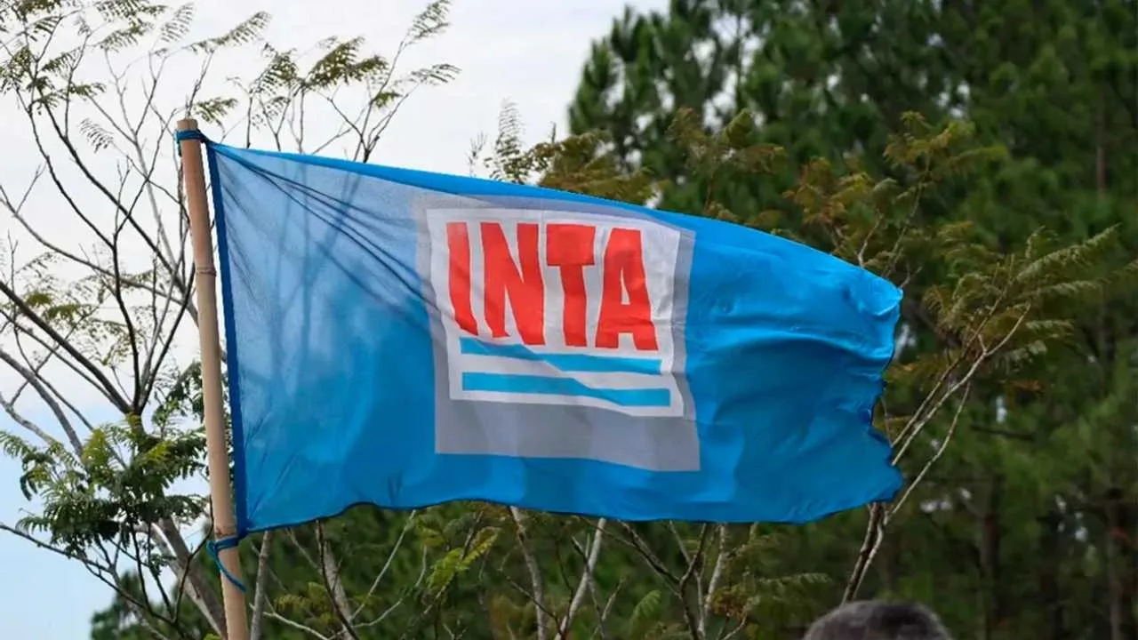 inta-despidos-1