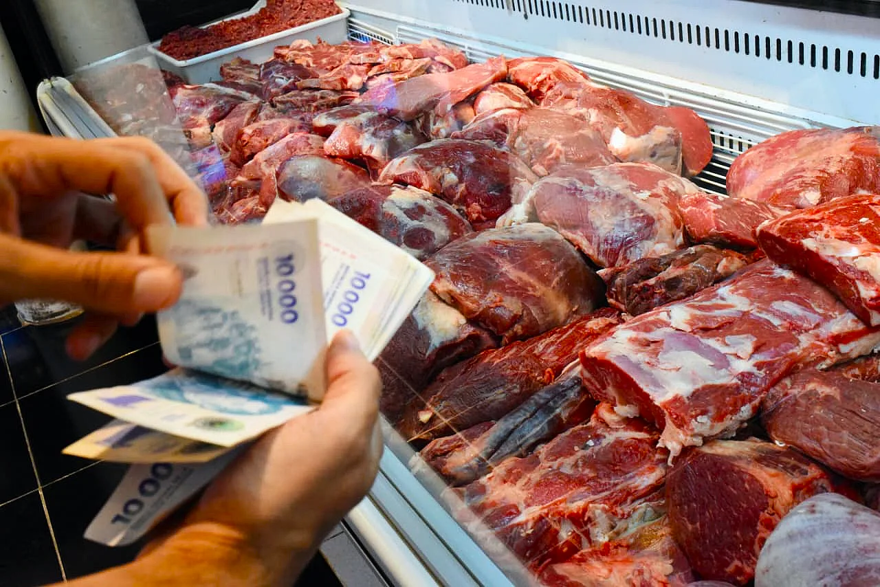 carnes-aumentos-tatin