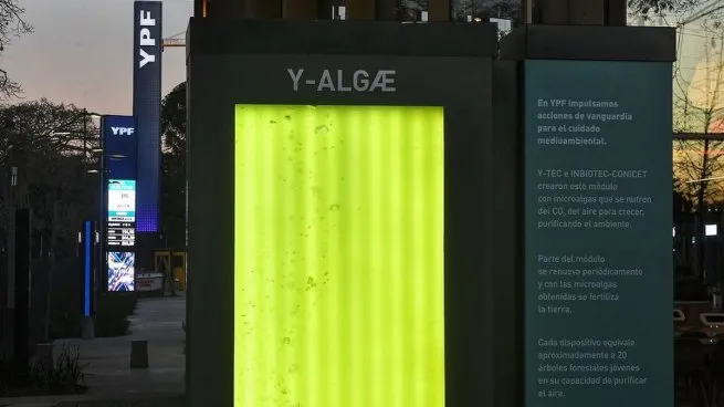 arbol-liquido-ypfjpg