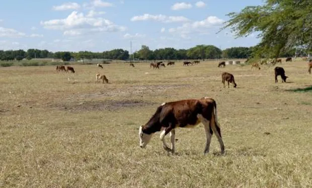 emergencia_agropecuaria_en_argentina